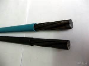 銅包鋼絞線 石家莊德實(shí)防雷技術(shù)有限公司主要產(chǎn)品