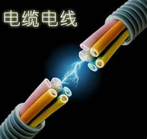 大唐大連海派海派駝山一期495MW風電 鋼芯鋁絞線型號 項目機組聯