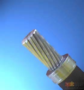 鋼芯鋁絞線型號(hào)新型輸電線路智能檢測(cè)技術(shù)研發(fā)成功