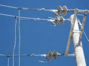 安徽省電線電纜商會(huì)2016年!輕型鋼芯鋁絞線 “優(yōu)秀會(huì)員企業(yè)”展示